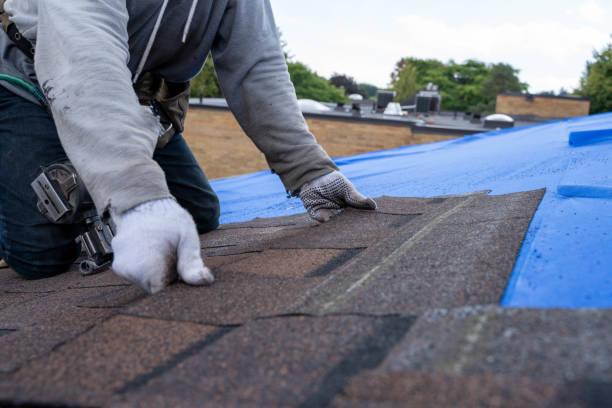 Best Storm Damage Roof Repair  in Caruthersville, MO