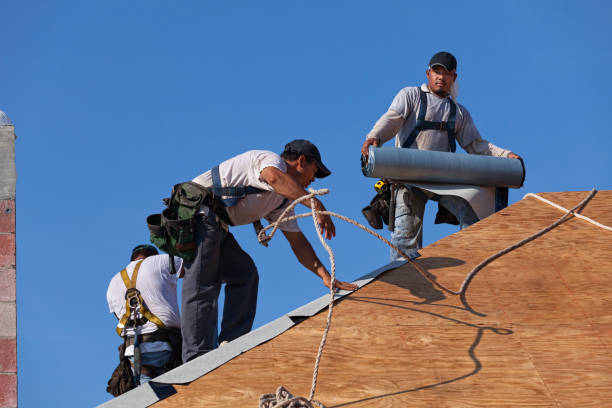 Best Local Roofing Companies  in Caruthersville, MO